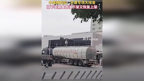 食用油安全風(fēng)波再起 中儲糧金鼎疑遭污染，官方緊急行動凸顯行業(yè)隱憂