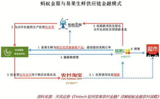 互聯網金融在三農領域大有可為 互聯網銷售助力鄉村振興